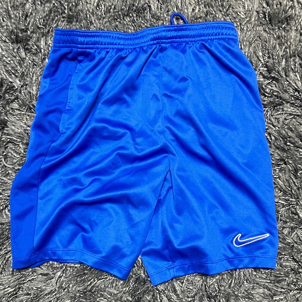 Nike Royal Blue Sports Shorts